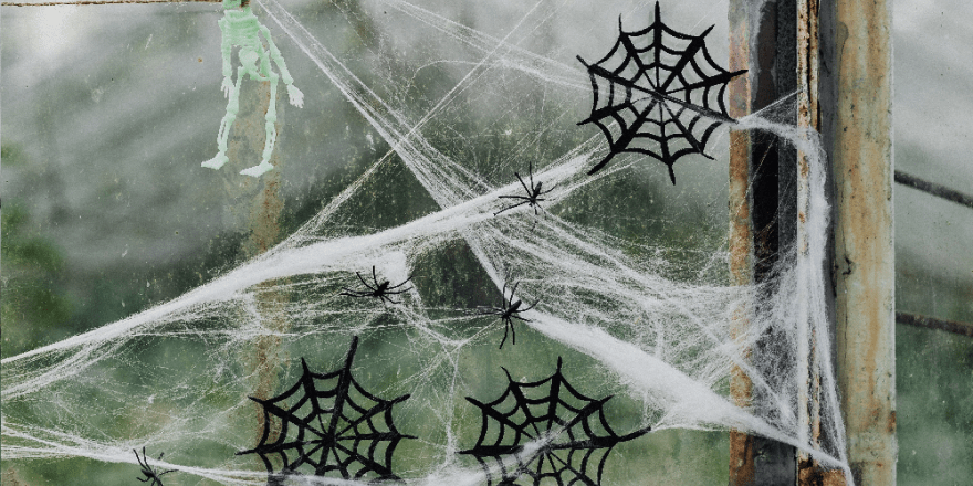 Een paar spinnenwebben voor een wazige achtergrond van een kas, met plastic spinnenwebben en een plastic skeletje erin.